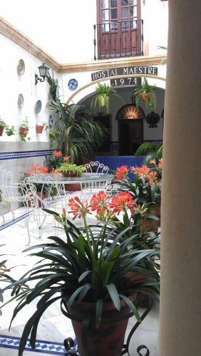 Hostal Maestre