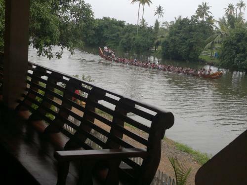 Backwater Breeze