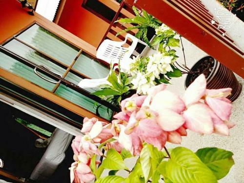 Hostal Lanta Cottage