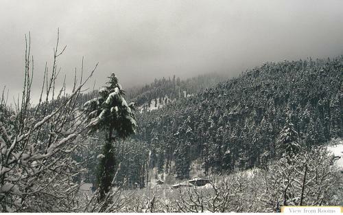 Hotel Manali Heights