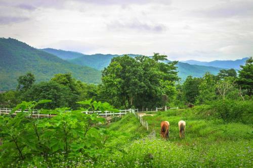 Hotel E-outfitting Pai Resort