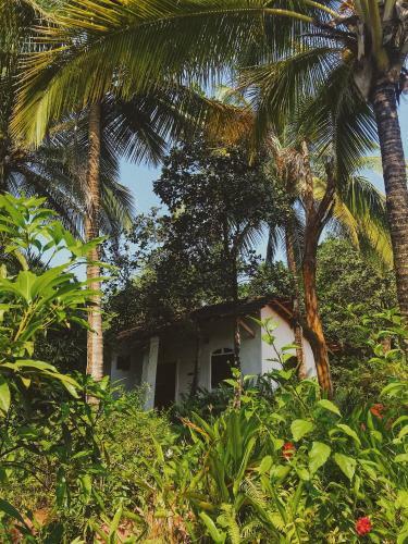 Hotel Jivana Resort