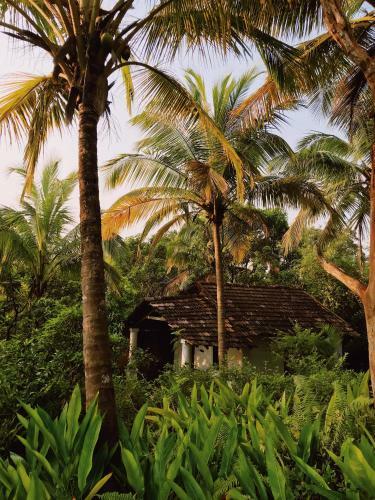 Hotel Jivana Resort