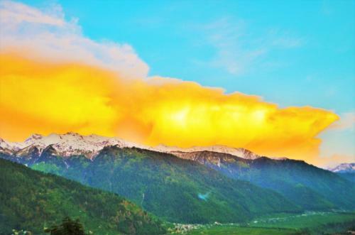Hotel Pause At Manali