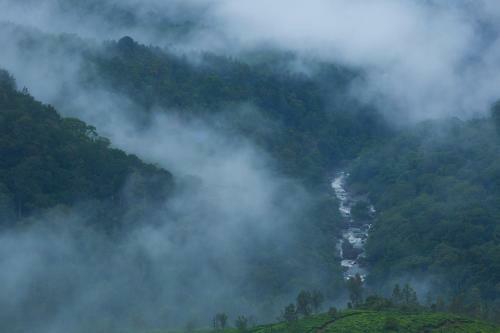 Hotel Fragrant Nature Munnar