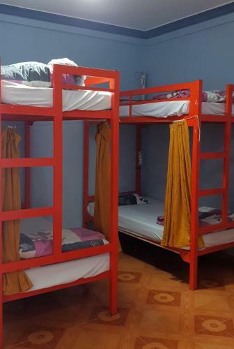 Albergue Tiny Tigers