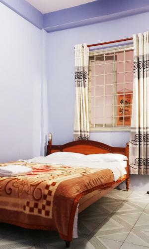 Albergue Tiny Tigers