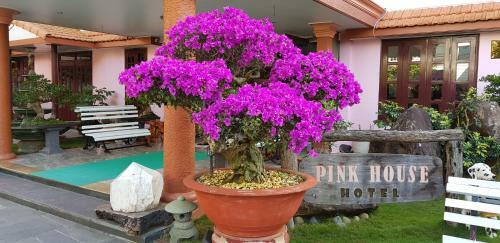 Hotel Villa Pink House