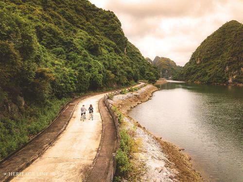 Ginger Cruise