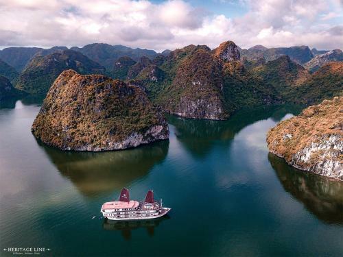Ginger Cruise