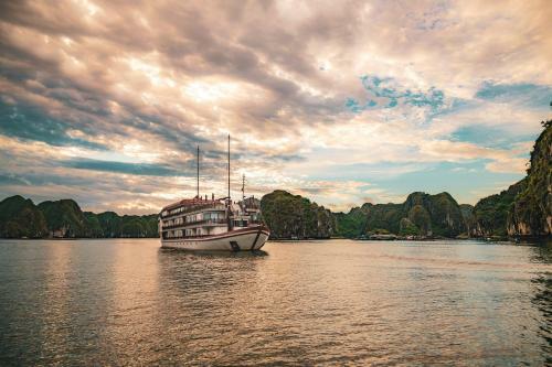 Ginger Cruise