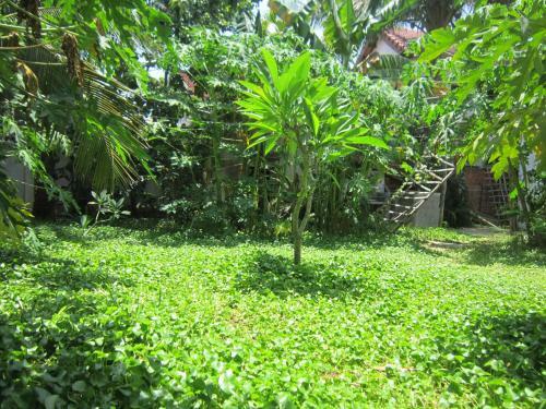 Local Beach Homestay