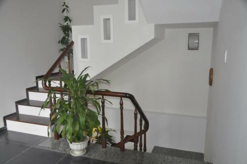 Green Coco Homestay