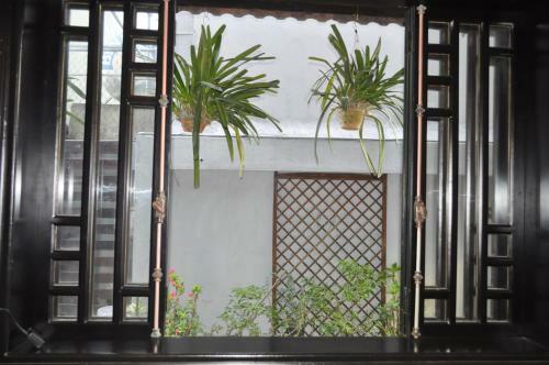 Green Coco Homestay