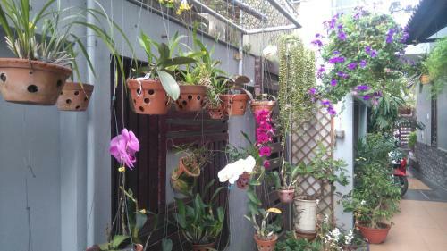 Green Coco Homestay
