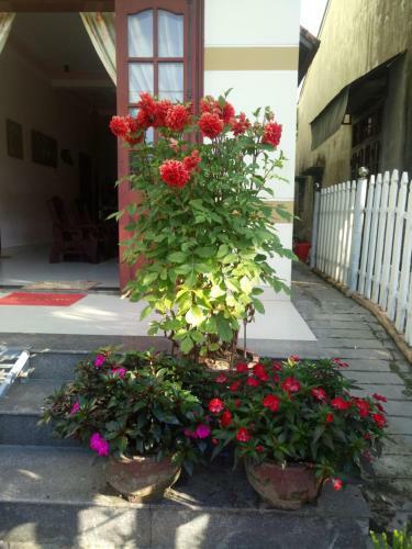 Mai Hung Homestay