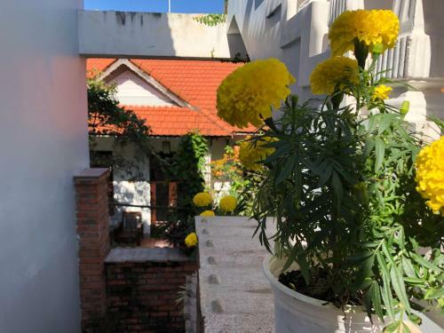 Hotel Charming Homestay