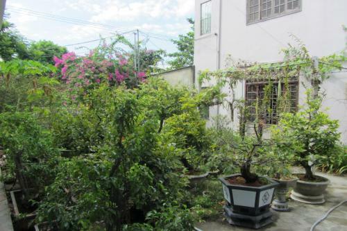 Hotel Charming Homestay
