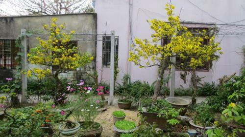 Hotel Charming Homestay