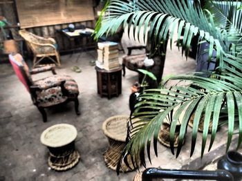Hotel The Palm Trees Resort