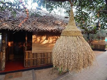 Hotel The Palm Trees Resort