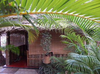 Hotel The Palm Trees Resort