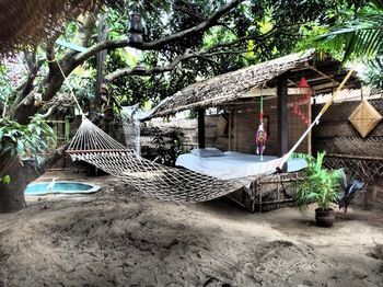Hotel The Palm Trees Resort