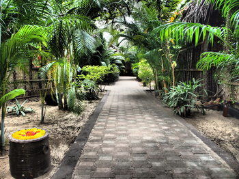 Hotel The Palm Trees Resort