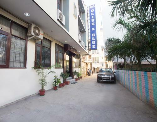 Hotel Olive & Blue