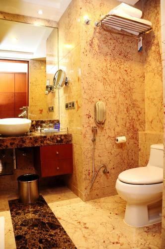 Hotel Radisson Blu Plaza Delhi