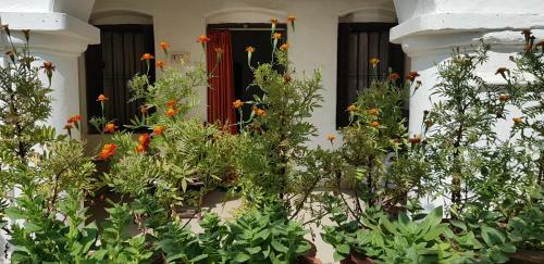 Hotel Gandhara
