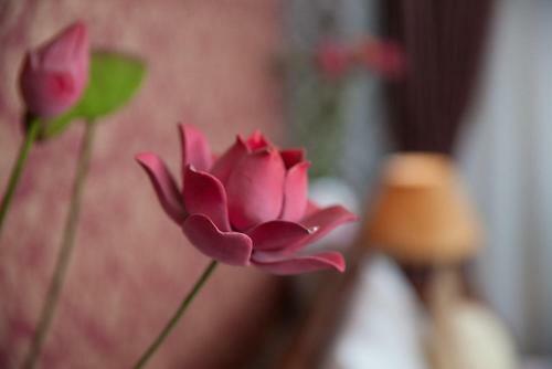 First Eden Hotel - Hang Bun