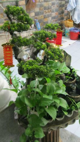Yang Homestay 2-juice Garden House