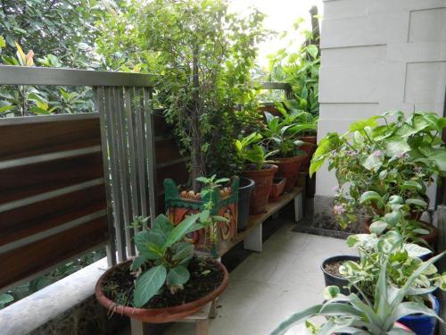 Bed & Breakfast Deerpark Villa