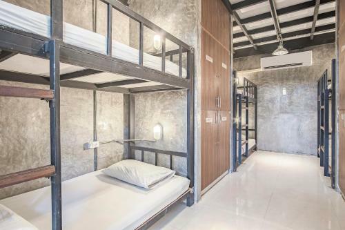 Freedom Hostels@phi Phi