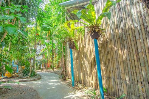 Freedom Hostels@phi Phi
