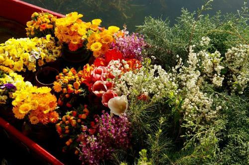 Akbar Group Of Heritage Houseboats