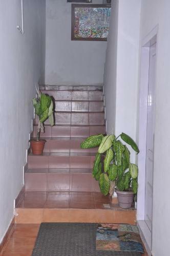 Chithrasala Homestay