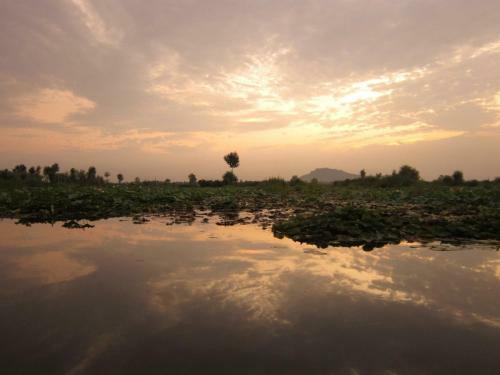 Sikandra Palace Group Of Houseboats