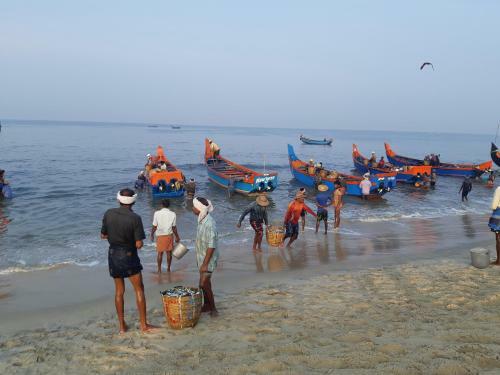Marari Beach Paradise