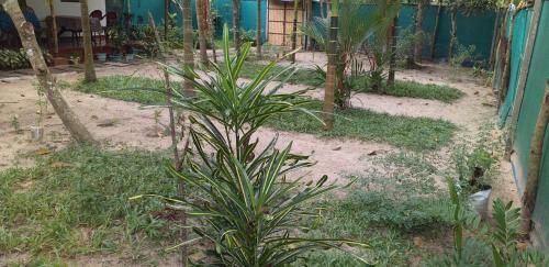 Bed & Breakfast Marari Nest Beach Homestay