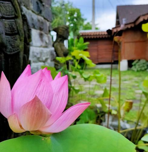 Hostal The Amrta Borobudur