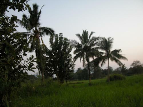 Heaven Homestay