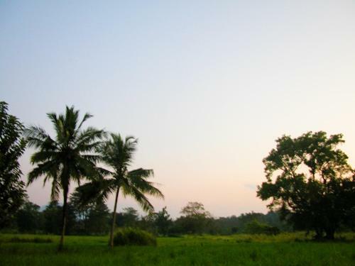Heaven Homestay