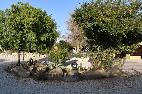Arawa Houses