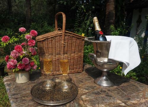 Agroturismo The Secret Garden Goa