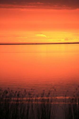Lake Albert Motel