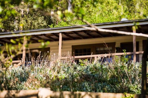Bed & Breakfast Buttercup Hill