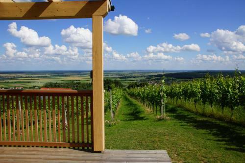 Kellerst�ckl Weinblick
