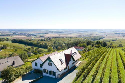 Kellerst�ckl Weinblick